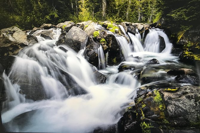 Mt. Rainier National Park Highlights Tour - Reflection Lakes and the seasonal photo stops