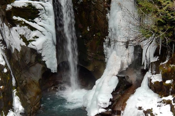 Mt. Rainier National Park Highlights Tour - Longmire gives you the park’s backstory