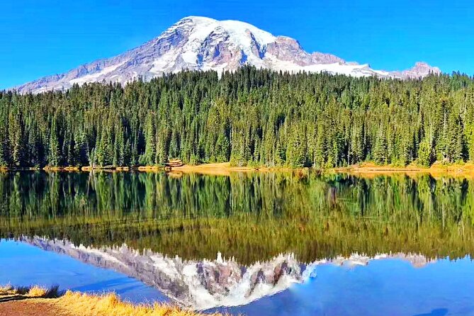 Mt Rainier National Park Small Group Day Tour from Seattle 2CanGo - Christine Falls and Narada Falls deliver easy scenery