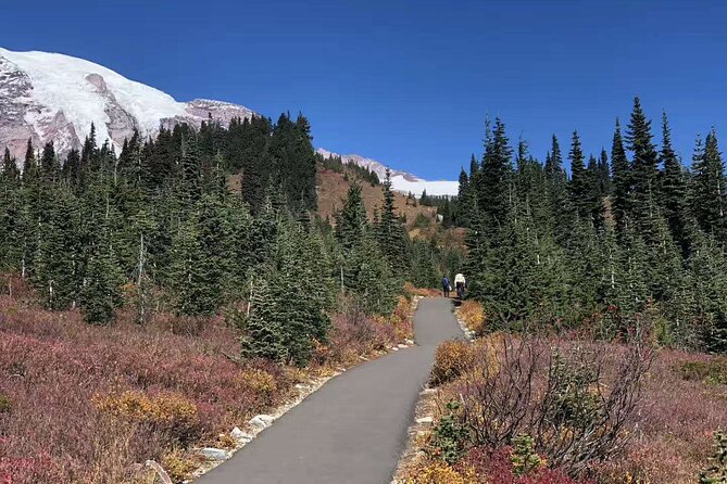 Mt Rainier National Park Small Group Day Tour from Seattle 2CanGo - Reflection Lakes are brief but worth watching for