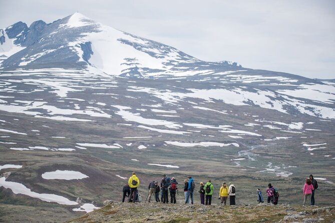 Musk ox Safari in Dovrefjell National Park, Oppdal Safari - Coffee, lunch, and the useful mountain pause