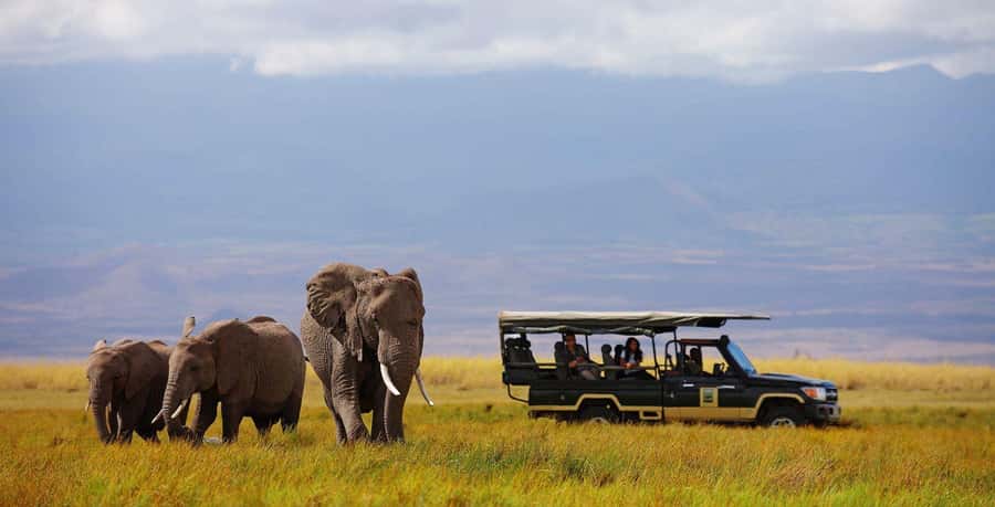 Nairobi: 4-Day Maasai Mara & Lake Nakuru Camping Safari - Why Maasai Mara makes the first two days count