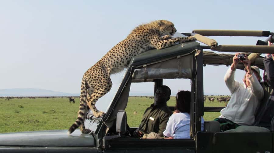 Nairobi: 4-Day Maasai Mara & Lake Nakuru Camping Safari - Lake Nakuru, flamingos, and protected rhinos