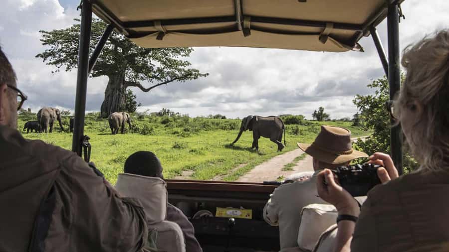 Nairobi: 4-Day Maasai Mara & Lake Nakuru Camping Safari - What the $475 price really means
