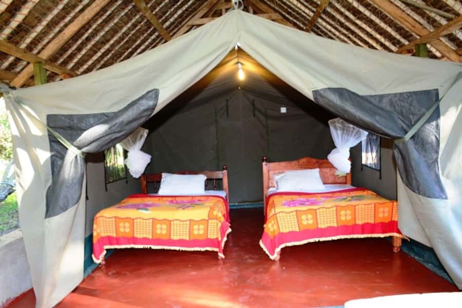 Nairobi: 4 Day Masai Mara and Lake Nakuru Camping Safari - FAQ