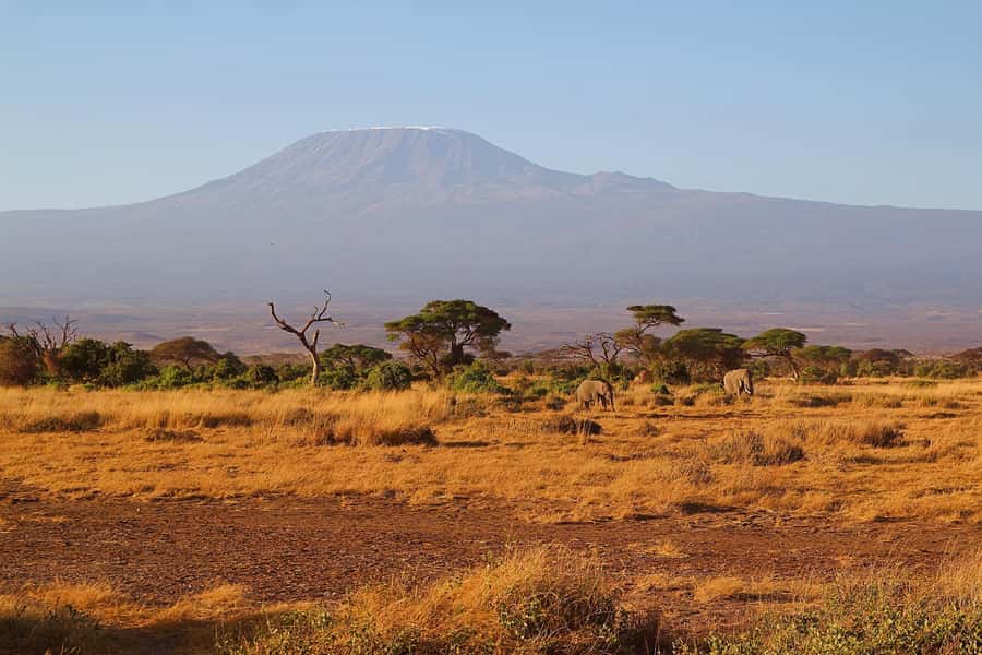 Nairobi: Day Tour to Amboseli National Park & Maasai Village - The real cost of a $75 day trip