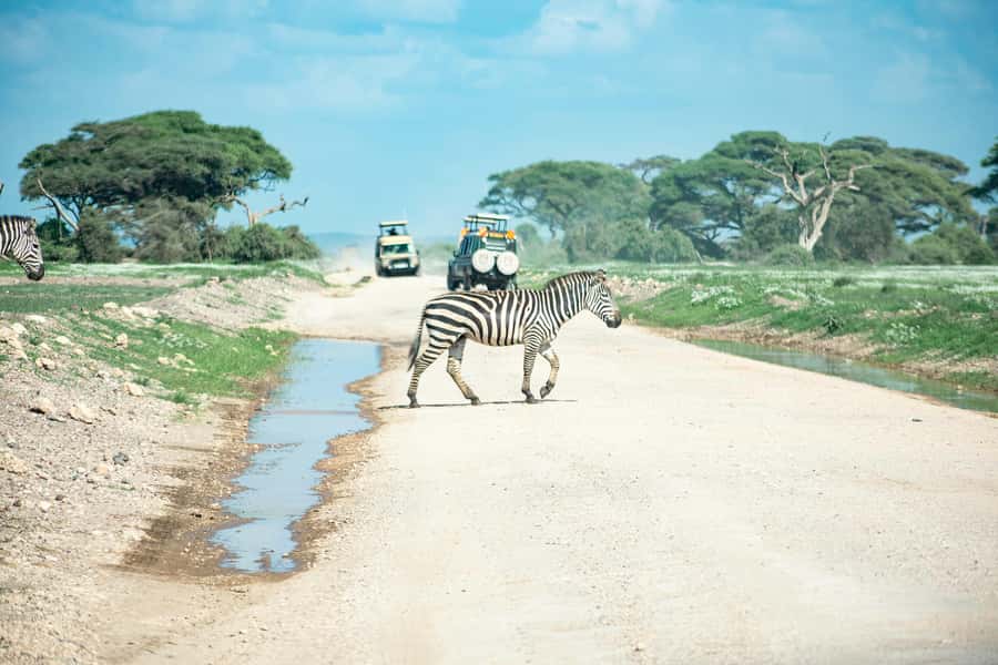 Nairobi: Day Tour to Amboseli National Park & Maasai Village - Who will enjoy this experience most