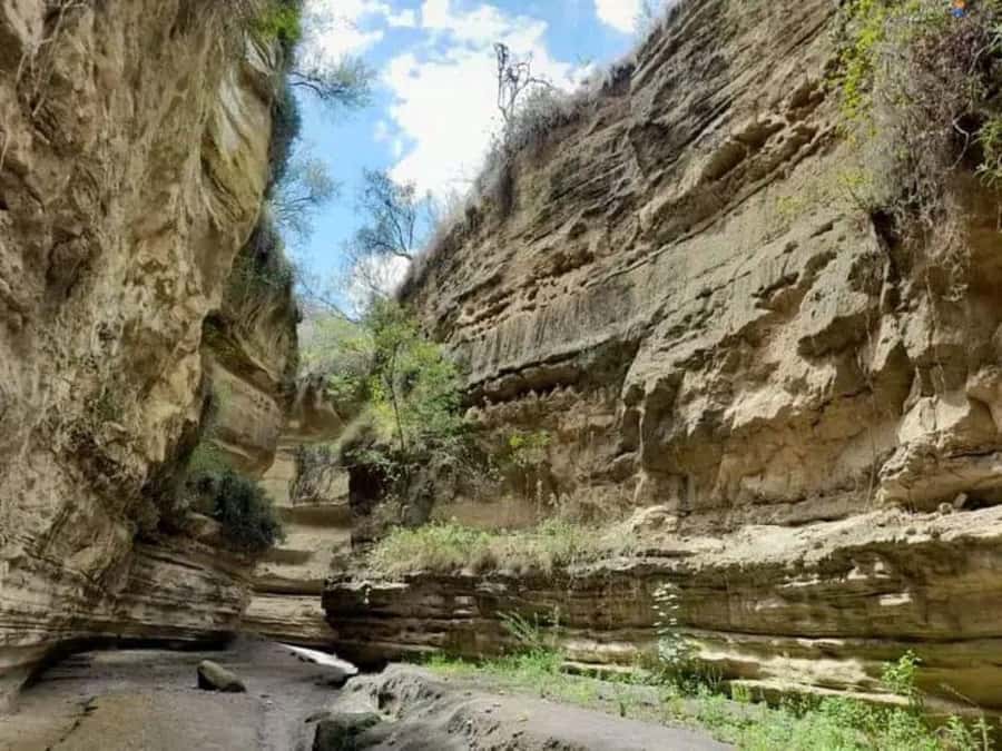 Nairobi: Hell's Gate National Park and Lake Naivasha Tour - Key points at a glance