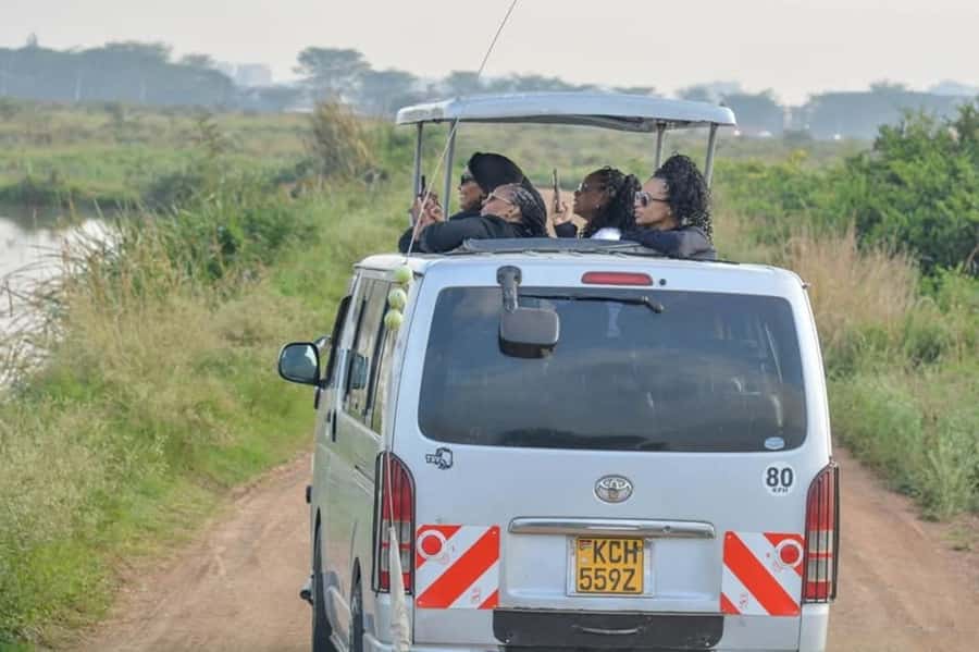 Nairobi: Nairobi National Park Half-Day Game Drive - A city safari with real wild animals