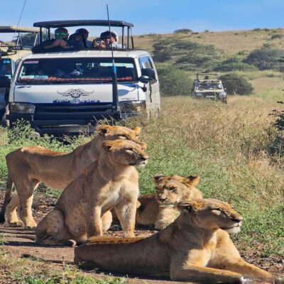 Nairobi National Park 5-hour Guided Game Drive Free Pick up