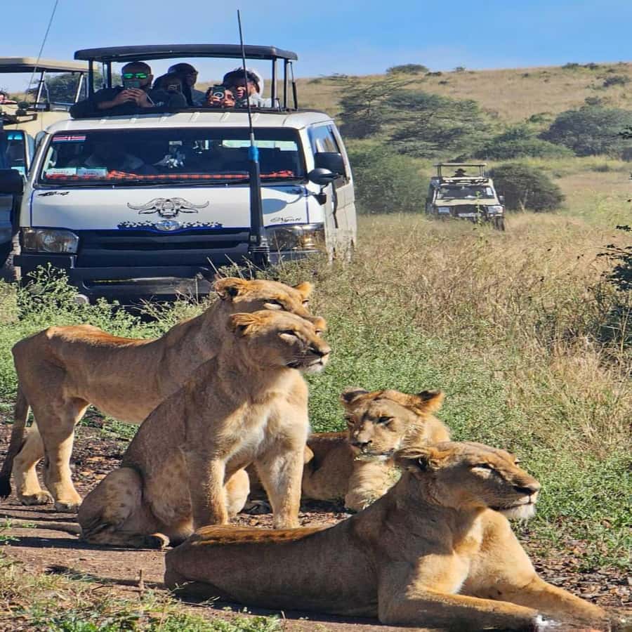 Nairobi National Park 5-hour Guided Game Drive Free Pick up - From your hotel to the park gate