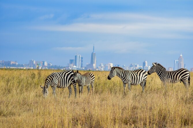 Nairobi: National Park Early Morning or Afternoon Game Drive - The pop-up roof and photography