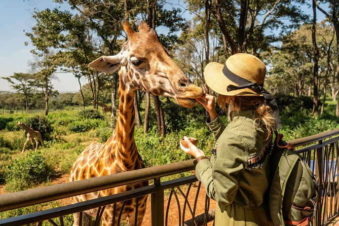 Nairobi National Park, Elephant Orphanage and Giraffe Centre - Key points to know before booking