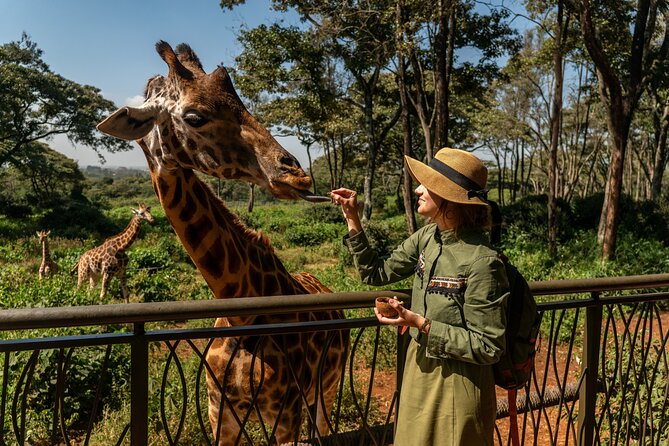 Nairobi National Park, Elephant Orphanage and Giraffe Centre - Kazuri Beads and the mid-day break