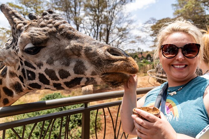 Nairobi National Park, Elephant Orphanage and Giraffe Centre - Why six hours is not a safe planning estimate