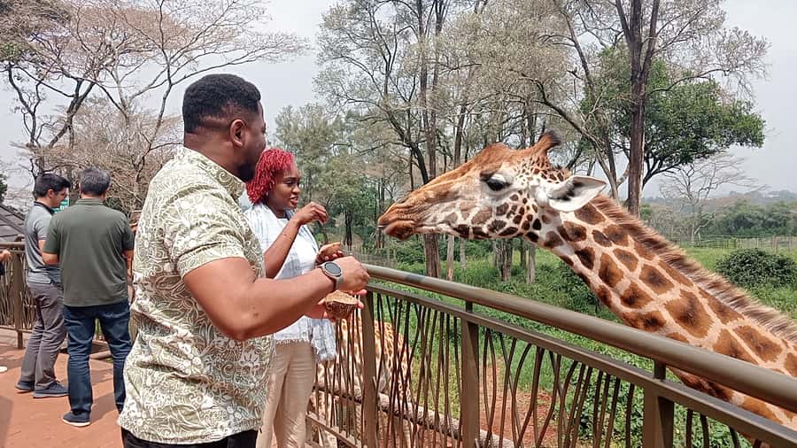 Nairobi: National Park, Elephant Orphanage, & Giraffe Centre - A useful Nairobi day for wildlife, culture, and a layover