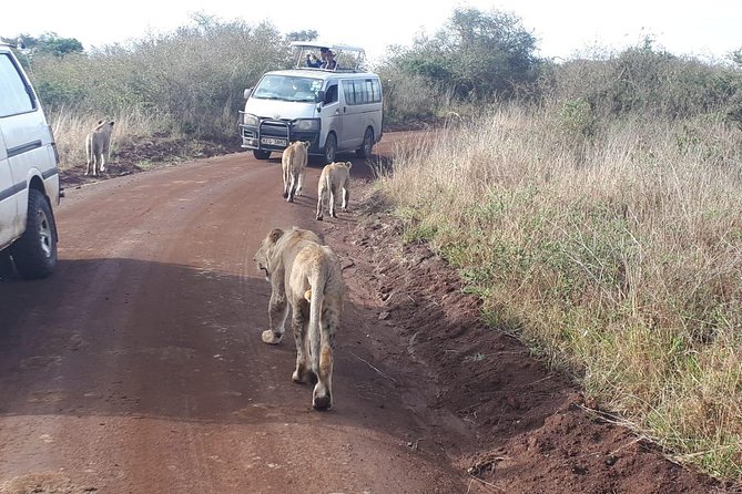 Nairobi National Park, Sheldrick Elephant, Giraffe Centre Tour - Nairobi National Park before breakfast