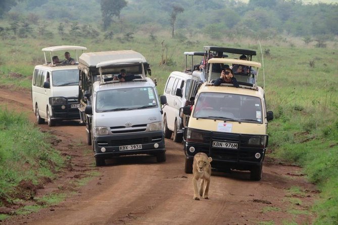 Nairobi National Park, Sheldrick Elephant, Giraffe Centre Tour - The guide matters more than the brochure