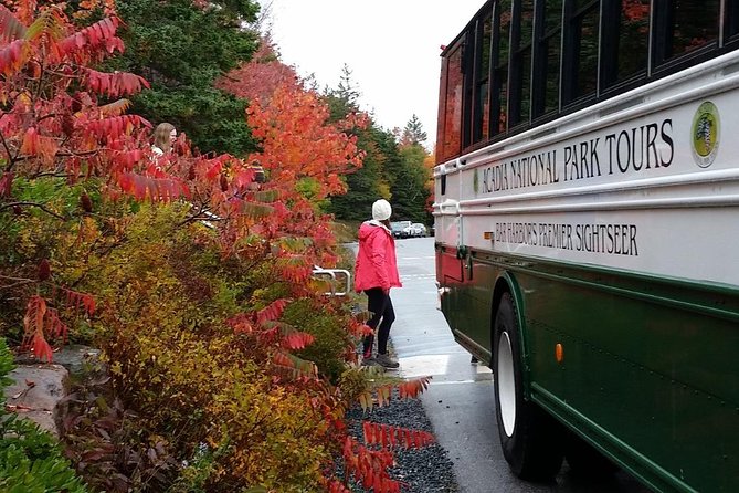 Narrated Bus Tour of Bar Harbor and Acadia National Park - A quick way to see Acadia from Bar Harbor