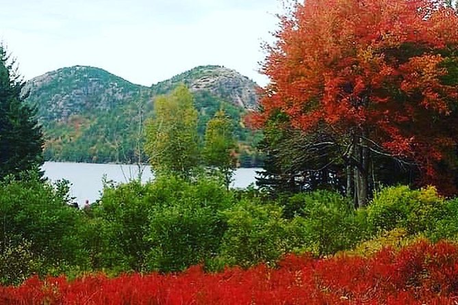 Narrated Bus Tour of Bar Harbor and Acadia National Park - Sieur de Monts Spring adds the park’s backstory