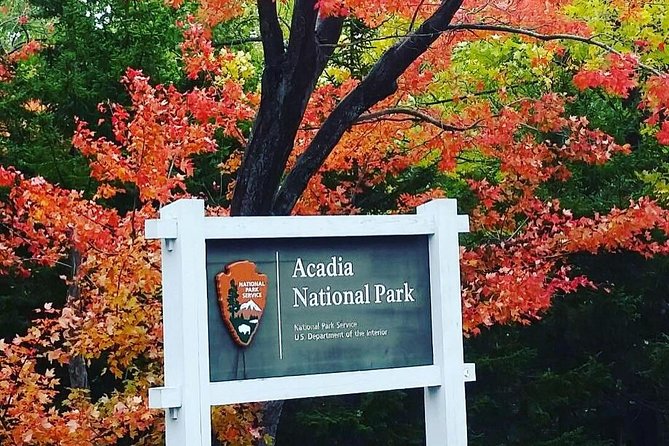 Narrated Bus Tour of Bar Harbor and Acadia National Park - The guide can make or break the ride
