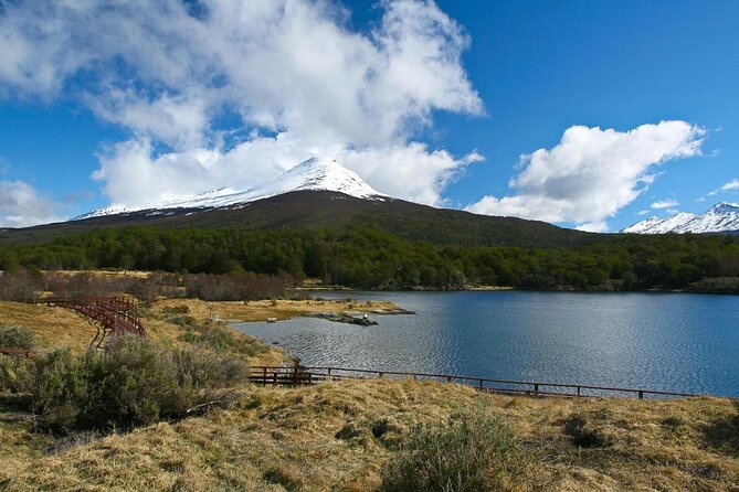 National Park and Train Trip End of the World Guided Tour - Three hours among Fuegian forests