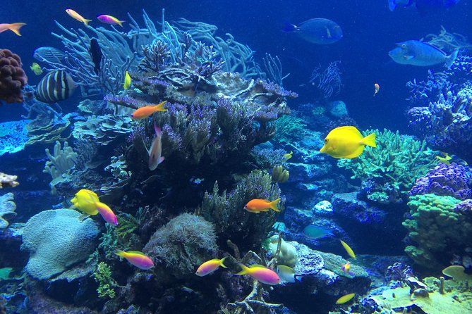 National Park Snorkeling Excursion - Stop two: changing scenery and better visibility