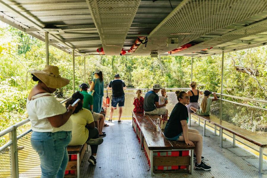 New Orleans: Bayou Tour in Jean Lafitte National Park - Leaving New Orleans for Barataria Preserve