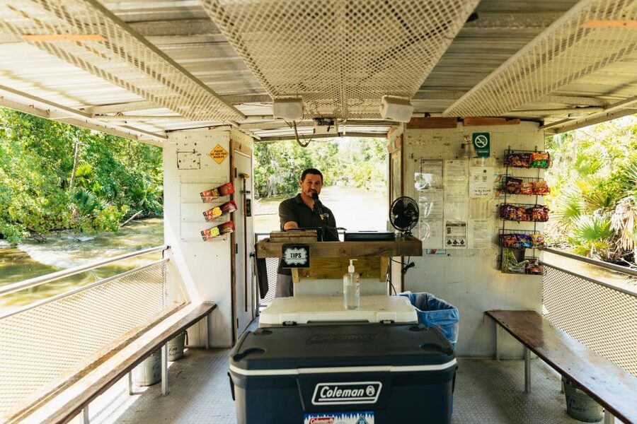 New Orleans: Bayou Tour in Jean Lafitte National Park - Looking for alligators and wetland wildlife
