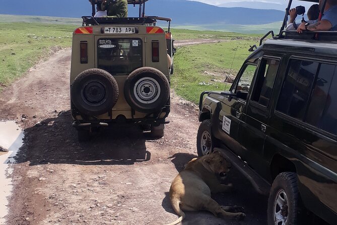 Ngorongoro Crater Day Trip - Is $325 a fair price?