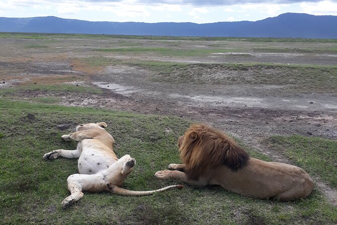 Ngorongoro Crater Day Trip - Who should book this day trip?