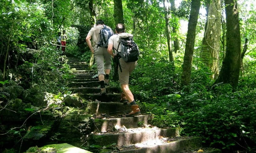 Ninh Binh : Cuc Phuong National Park One Day Group Tour - The Endangered Primate Rescue Center