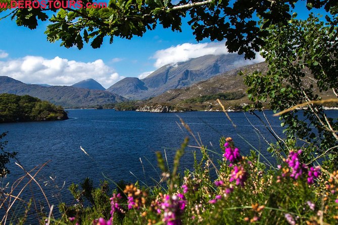 NO 1 Ring of Kerry Tour inc Killarney Lakes & National Park - Ladies View and the Lakes of Killarney