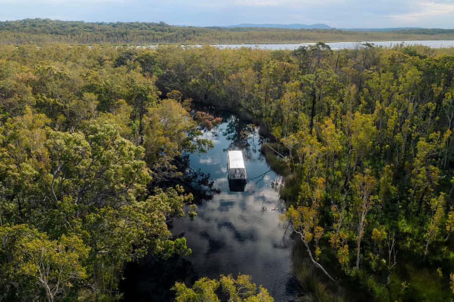 Noosa: Afternoon Cruise through the Noosa Everglades - Key things to know before you go