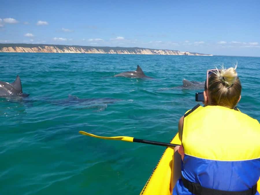 Noosa: Epic Ocean Kayak with Dolphins & 4WD Beach Adventure - Key points at a glance