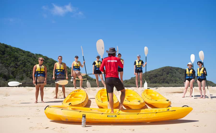 Noosa: Epic Ocean Kayak with Dolphins & 4WD Beach Adventure - Wildlife without a guarantee