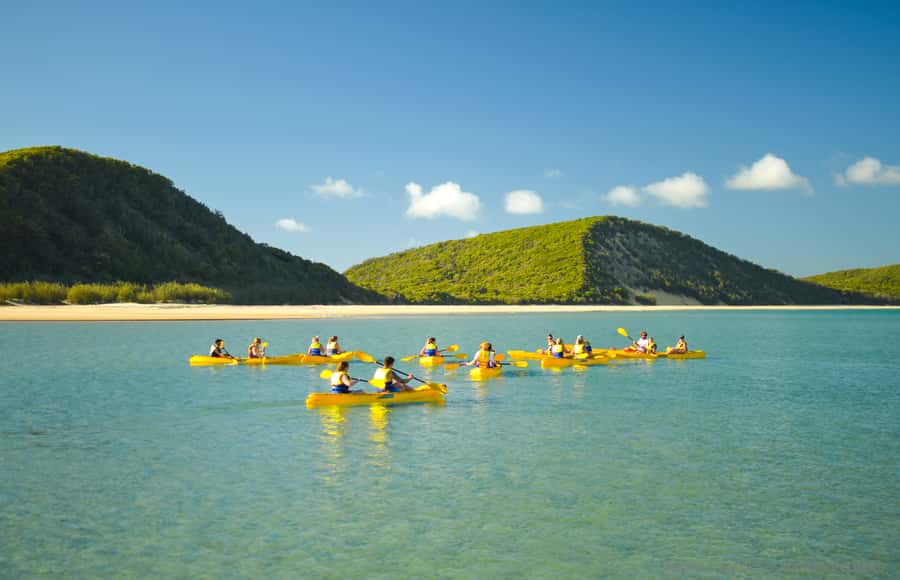 Noosa: Epic Ocean Kayak with Dolphins & 4WD Beach Adventure - Why the 4WD ride earns its place