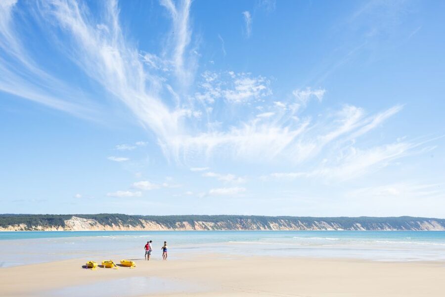Noosa: Epic Ocean Kayak with Dolphins & 4WD Beach Adventure - Who will enjoy this most