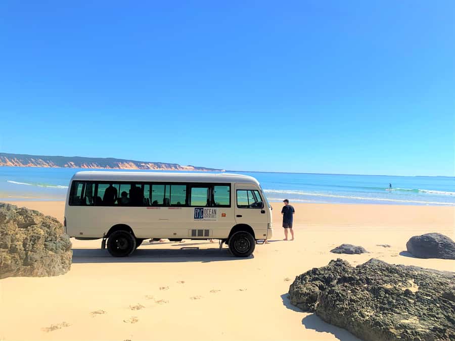 Noosa: Epic Ocean Kayak with Dolphins & 4WD Beach Adventure - Practical timing and pickup advice