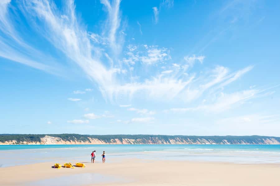 Noosa: Epic Ocean Kayak with Dolphins & 4WD Beach Adventure - My verdict on the $118 experience