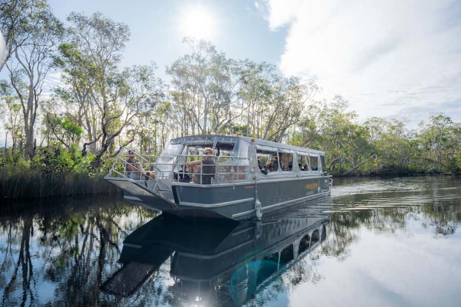 Noosa: Everglades Explorer Cruise - Practical advice for a better day