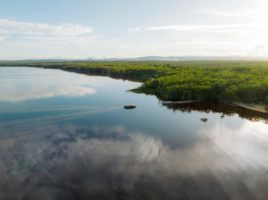 Noosa: Everglades Explorer Cruise - Choosing between the boat and canoe