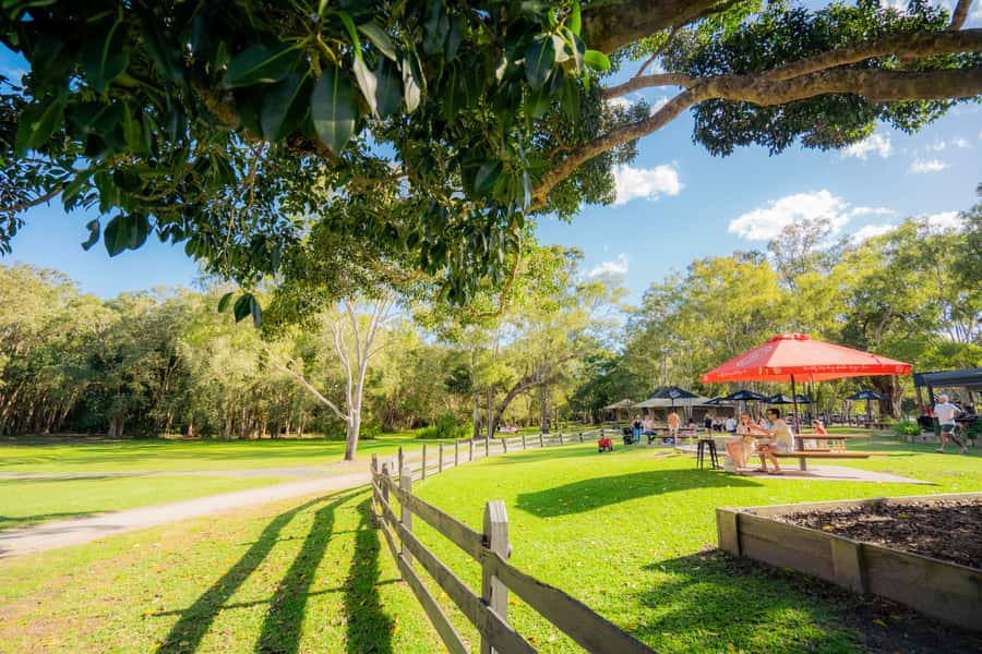 Noosa: Everglades Explorer Cruise - Harry’s Hut and the best break of the day