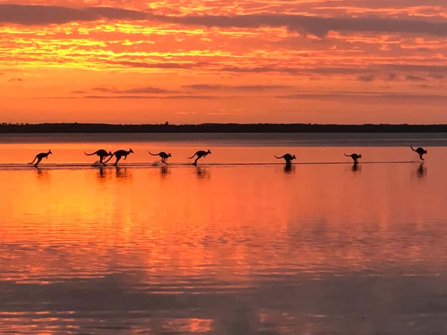 Noosa: Everglades Explorer Cruise - How long the day really takes