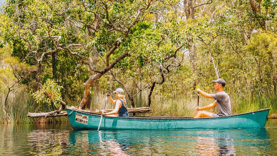 Noosa: Everglades Explorer Cruise - The early shuttle from Noosa