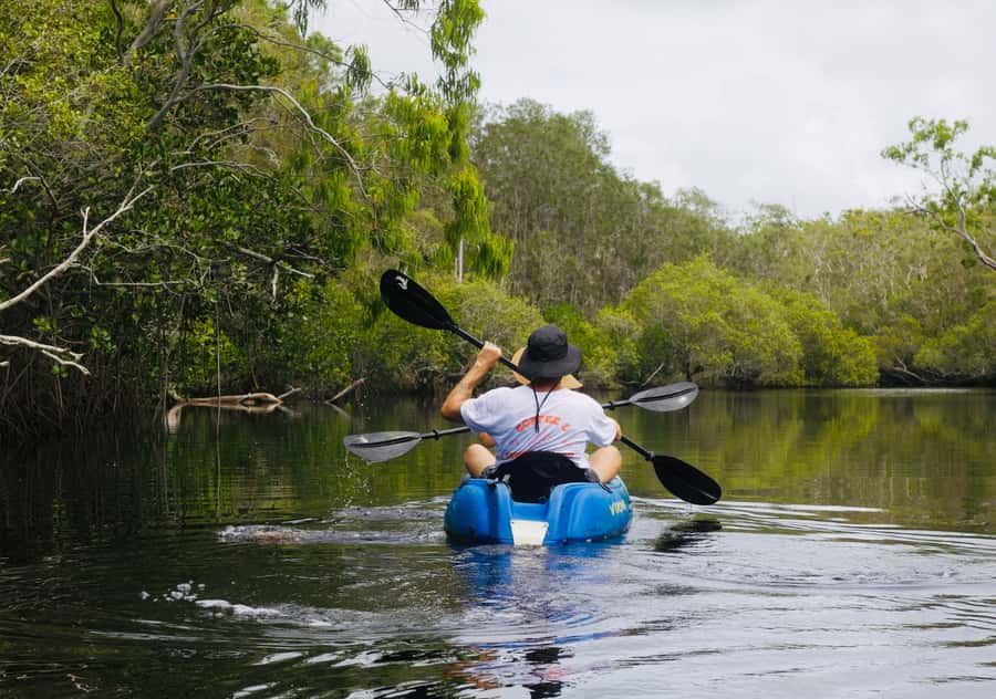 Noosa: Noosa Everglades and Stingray Sanctuary Kayak Tour - Starting beside Lake Weyba near Noosa