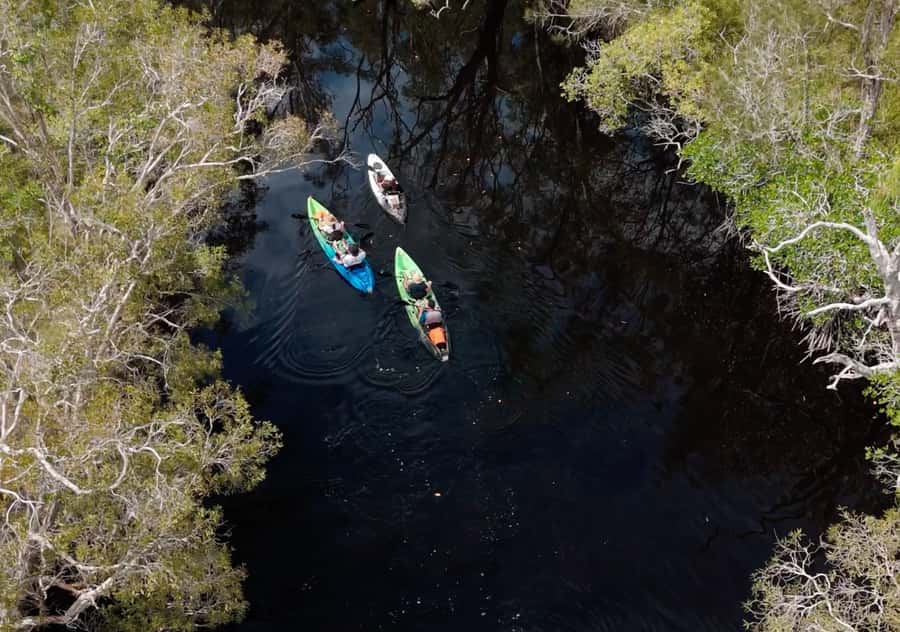 Noosa: Noosa Everglades and Stingray Sanctuary Kayak Tour - Paddling the southern Noosa Everglades