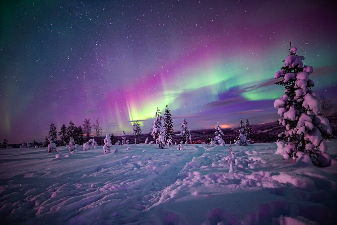 Northern Lights Wilderness Small-Group Tour from Rovaniemi - Who will enjoy this tour most
