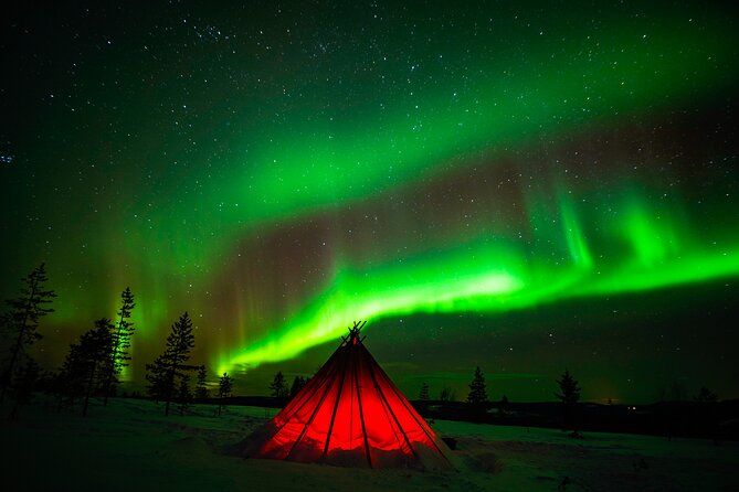 Northern Lights Wilderness Small-Group Tour from Rovaniemi - Should you book the Northern Lights Wilderness Tour?