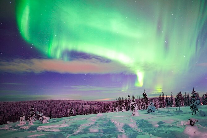 Northern Lights Wilderness Small-Group Tour from Rovaniemi - How the three-stop aurora hunt works